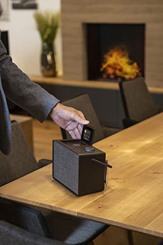 Portable Music System for Indoors & Outdoors - Coffee Black