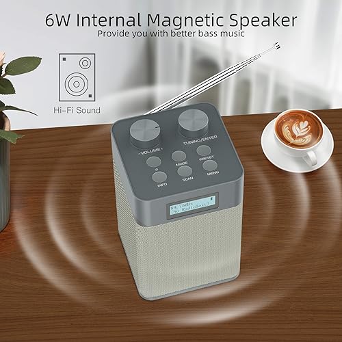 Portable Bluetooth DAB Radio with MP3 Player