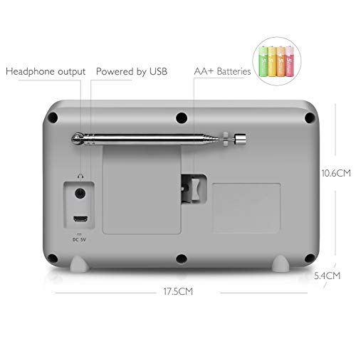 Portable Internet Radio with WIFI, DAB, FM