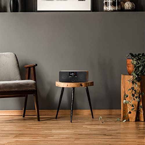 Audizio Rome WIFI DAB Digital Stereo Speaker
