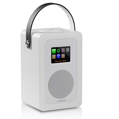 LEMEGA M6+ Portable Digital Radio - White