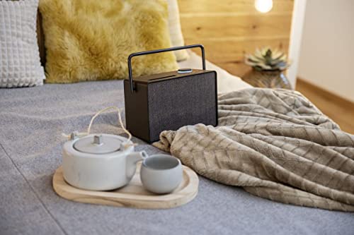 Portable Music System for Indoors & Outdoors - Coffee Black