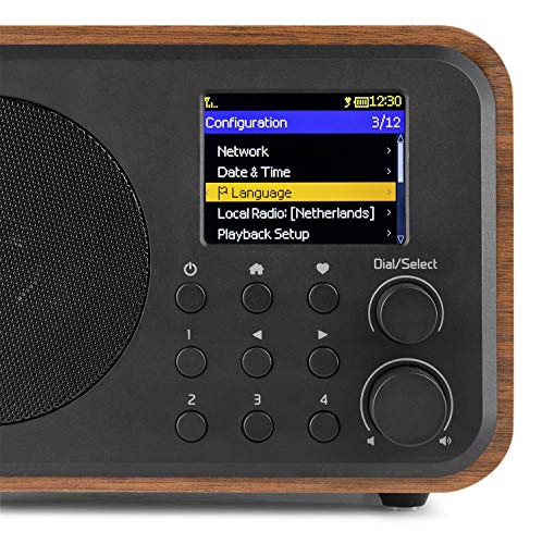 Portable WIFI Internet Digital Radio with Bluetooth