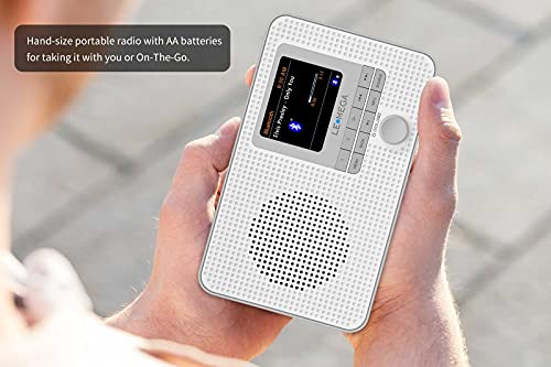 Portable Internet Radio with WIFI, DAB, FM