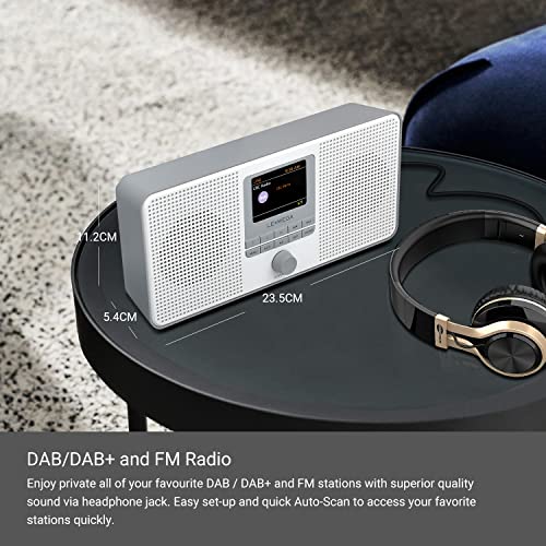 LEMEGA IR4S Stereo WIFI Internet Radio