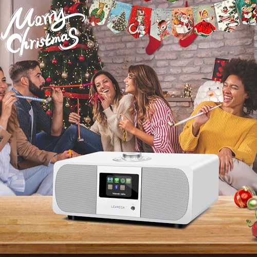 WiFi Stereo Internet Radio with Bluetooth Speaker