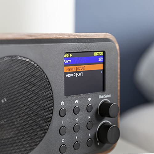 Portable WIFI Internet Digital Radio with Bluetooth