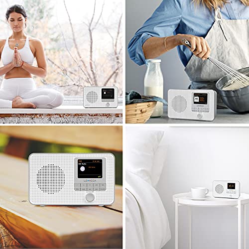 Portable Internet Radio with WIFI, DAB, FM