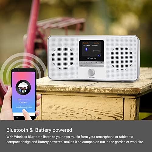 LEMEGA IR4S Stereo WIFI Internet Radio