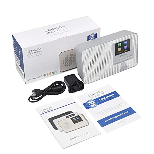 Portable Internet Radio with WIFI, DAB, FM