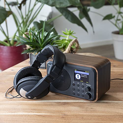Portable WIFI Internet Digital Radio with Bluetooth