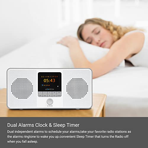 LEMEGA IR4S Stereo WIFI Internet Radio