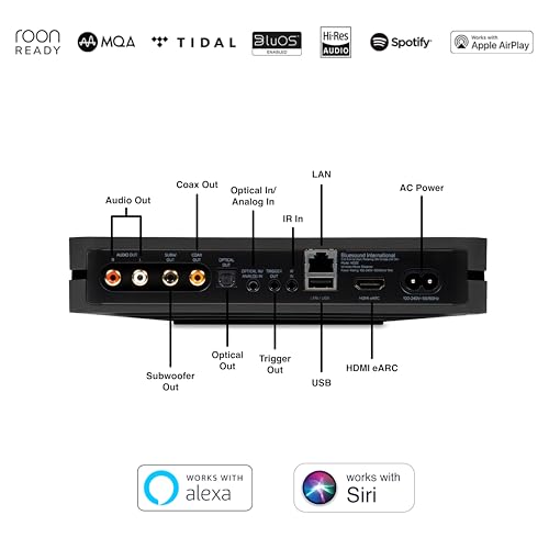 Bluesound Node N130 HD Music Streamer (Black)