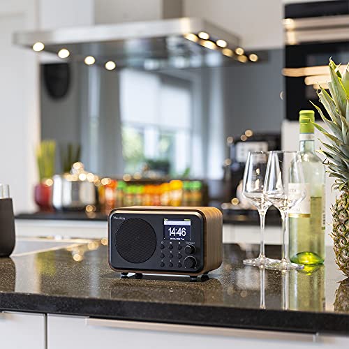 Portable WIFI Internet Digital Radio with Bluetooth