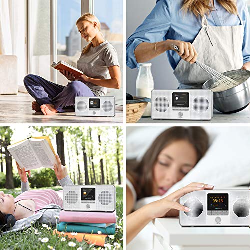 LEMEGA IR4S Stereo WIFI Internet Radio