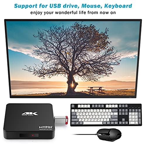 MYPIN 4K HDMI Media Player for HDTV