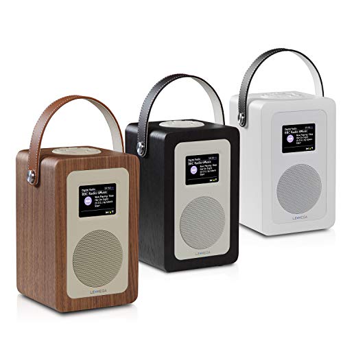 LEMEGA M6+ Portable Digital Radio - White