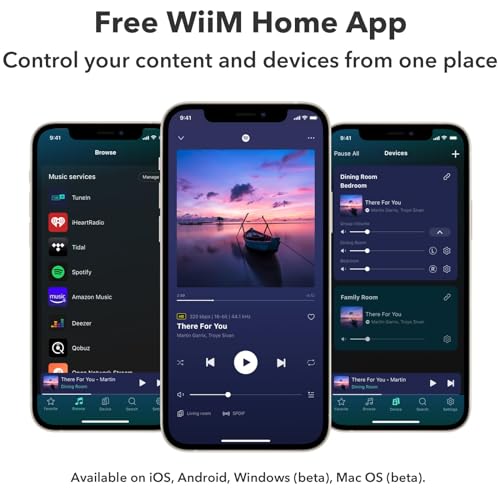 WiiM Pro Plus: Ultimate Multiroom Audio Streamer