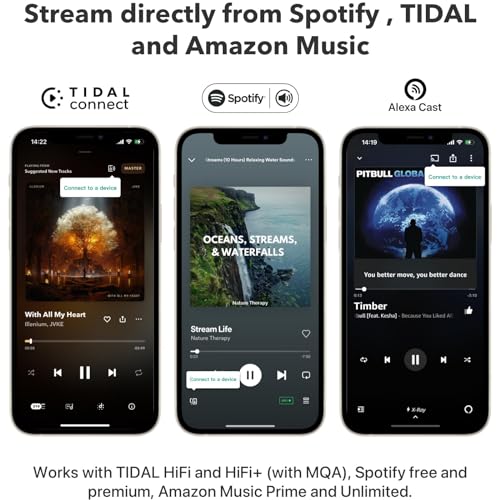 WiiM Pro Plus: Ultimate Multiroom Audio Streamer