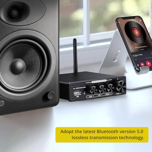 PROZOR Bluetooth Hifi Amplifier with Remote Control