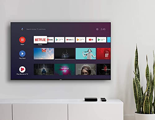 Nokia Streaming Box 8000: Android TV, Chromecast, Netflix