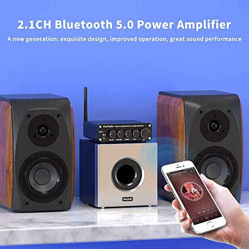 Fosi Audio BT30D Bluetooth 5.0 Stereo Amplifier