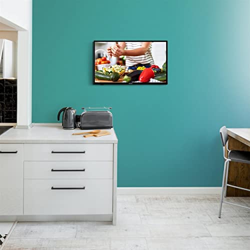 Panasonic 32" HD LED TV, USB Player, Surround Sound