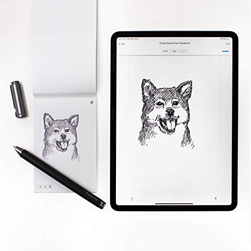 Livescribe Symphony Smartpen - Bluetooth, iOS/Android Compatible (Latest Version, Black)