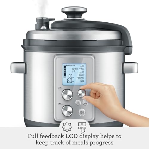 Fast Slow Cooker Pro Silver