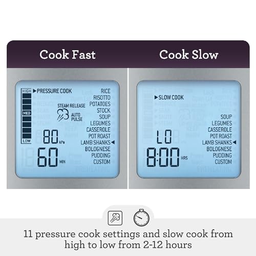 Fast Slow Cooker Pro Silver