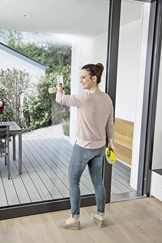 Kärcher Window Vac WV 1 Plus - Efficient Window Cleaning