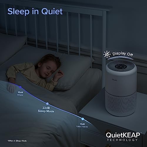 LEVOIT Smart Air Purifier with Alexa, Core300S