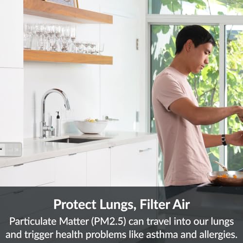 Awair Element Indoor Air Quality Monitor - Temperature, Humidity, C02
