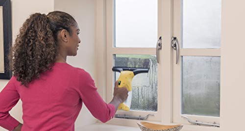 Kärcher Window Vac Powerful Cleanser