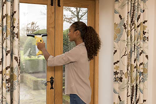 Kärcher Window Vac Powerful Cleanser