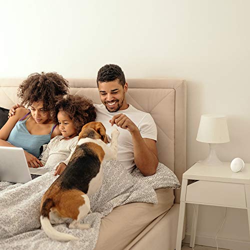 Airthings 292 Mini: Indoor Air Quality Monitor