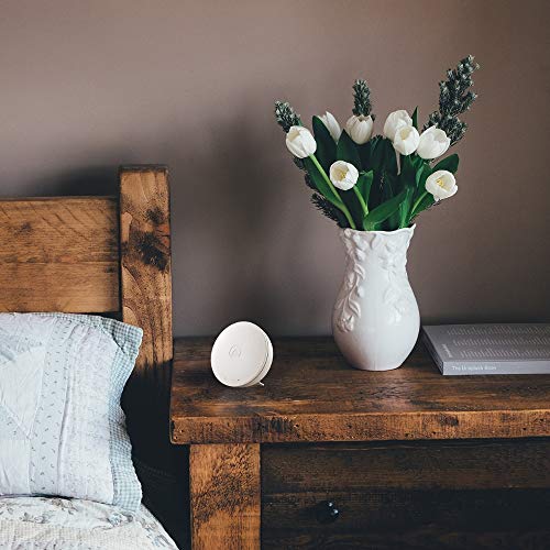 Airthings 292 Mini: Indoor Air Quality Monitor