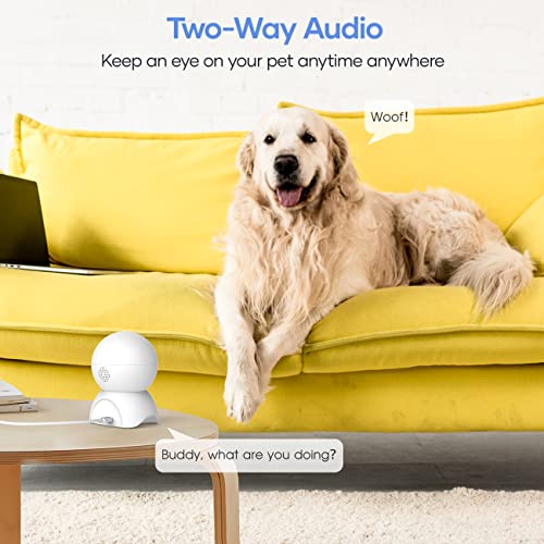 Assark 5MP HD 2.5K Security WiFi Camera