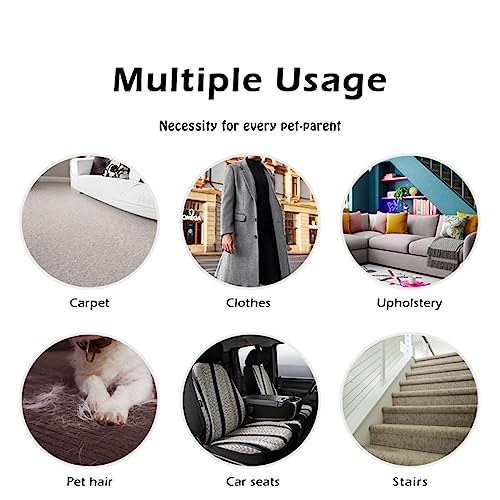 Portable Pet Hair Remover: Reusable Carpet Scraper