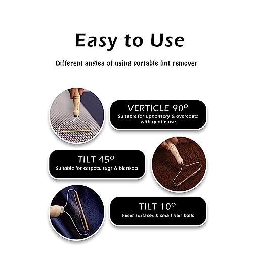 Portable Pet Hair Remover: Reusable Carpet Scraper
