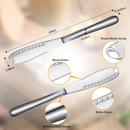 3-in-1 Stainless Steel Butter Spreader in Nevkha Gadgets
