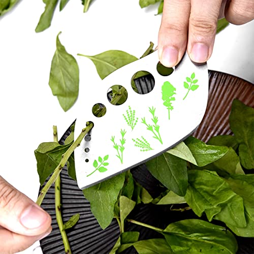 Jagowa Stainless Steel Herb Stripper - Kitchen Gadget