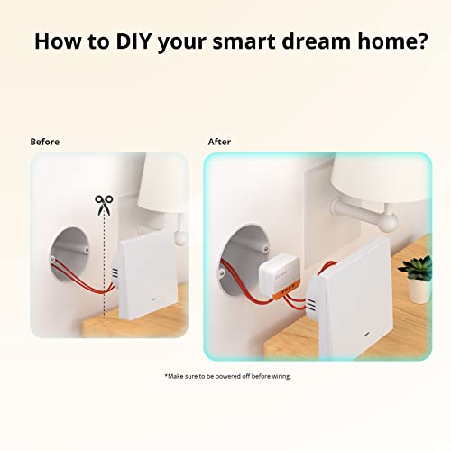 Wireless Smart Light Switch for Alexa, Google Home