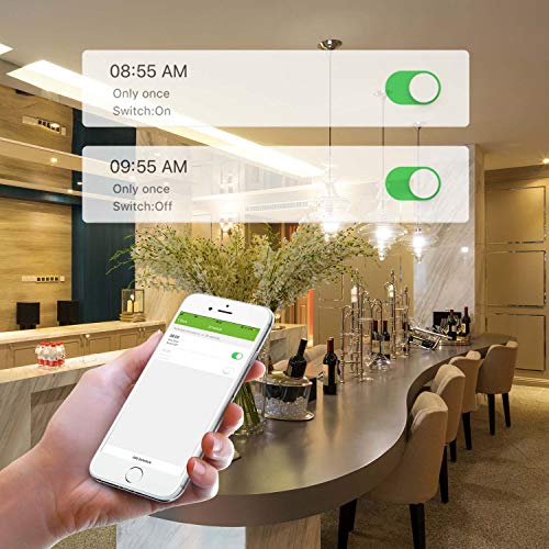 Smart Wall Timer Switch - WiFi - Alexa & Google Assistant Compatible