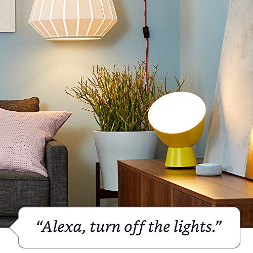 Smart Plug: Works with Alexa, Certified for Humans