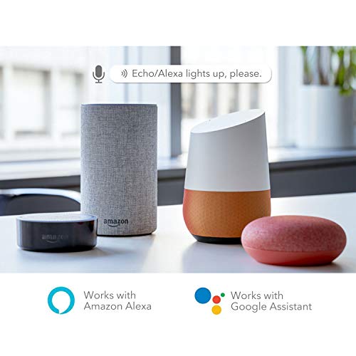 Smart Wall Timer Switch - WiFi - Alexa & Google Assistant Compatible