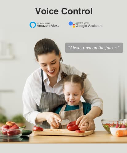 Smart Plug: Wifi Dual Plug Extension for Alexa