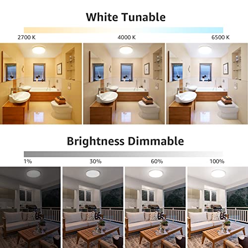 Smart LED Ceiling Light - Dimmable, RGB Color Changing, App/Voice Control