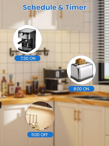 Smart Plug: Alexa & Google Home Compatible