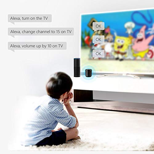 Universal Black Smart Home Hub & Remote Control